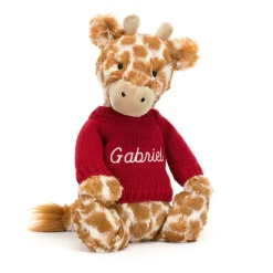 Bashful Giraffe with Personalised Red Jumper