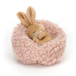 Hibernating Bunny