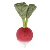 Vivacious Vegetable Radish